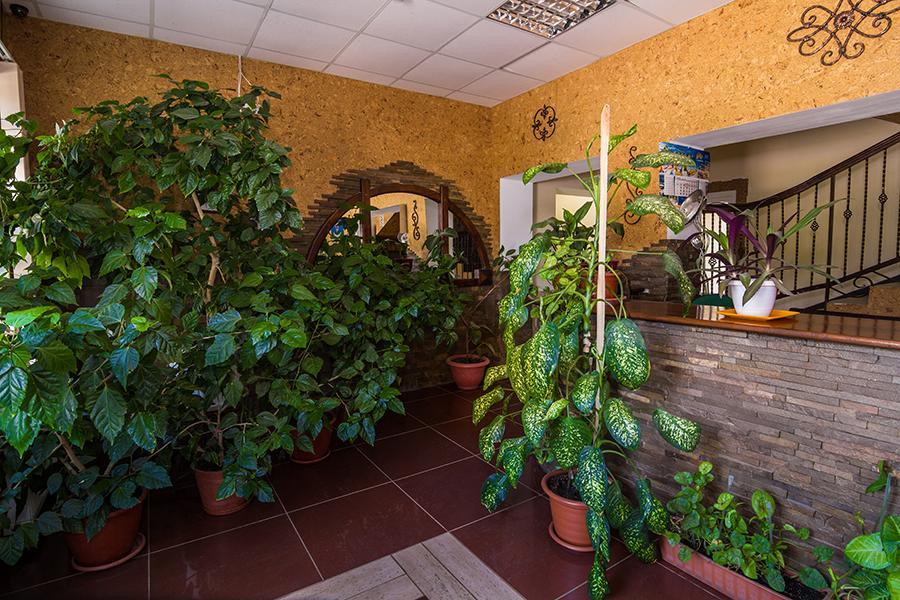 Citadella Ξενοδοχείο Skadovsʼk Εξωτερικό φωτογραφία